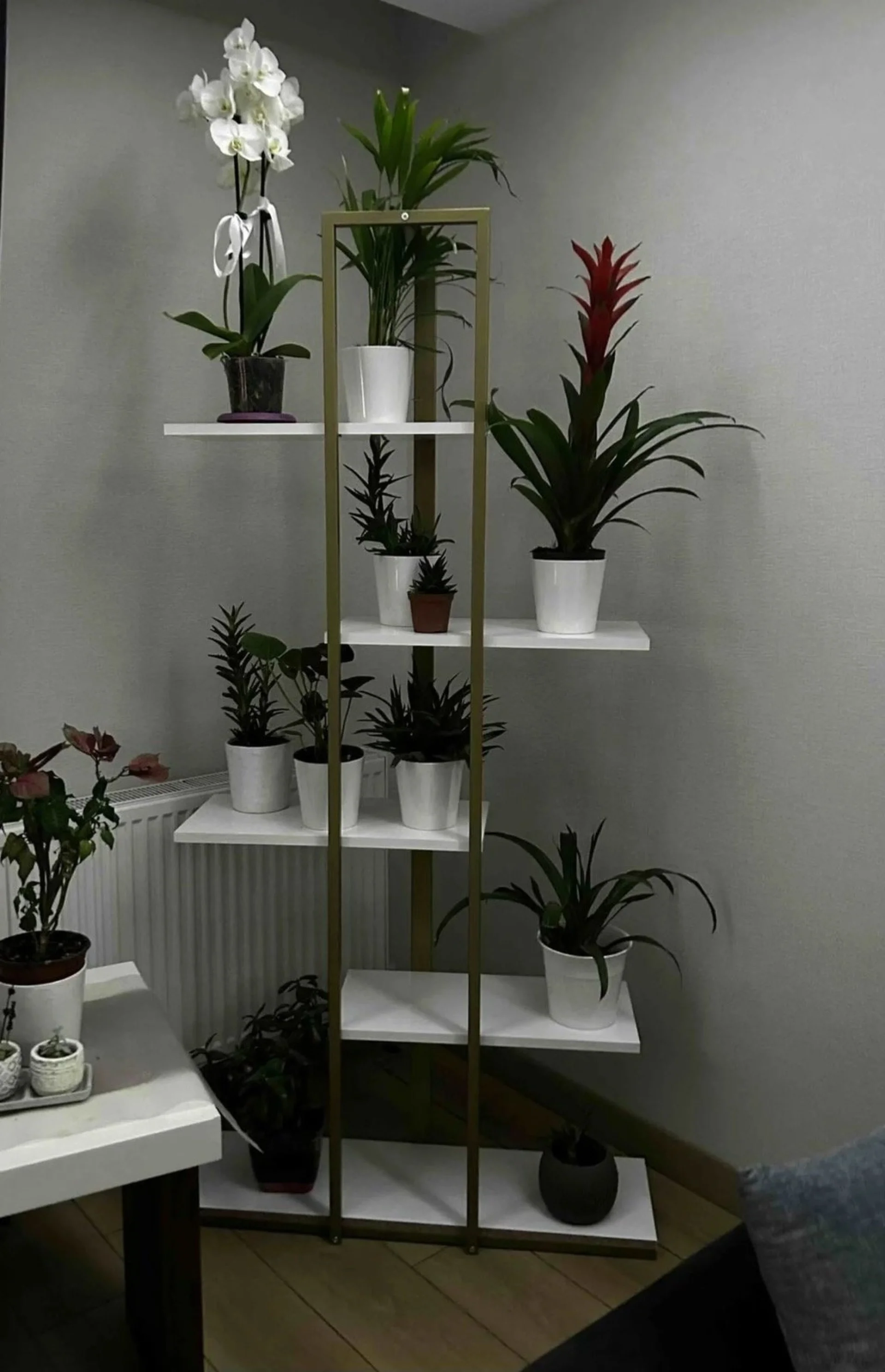 %D0%95%D1%82%D0%B0%D0%B6%D0%B5%D1%80%D0%BA%D0%B0%2F%D0%91%D0%B8%D0%B1%D0%BB%D0%B8%D0%BE%D1%82%D0%B5%D0%BA%D0%B0+%D1%81+5+%D1%80%D0%B0%D1%84%D1%82%D0%B0+%22ArteDecor%22+%D0%91%D1%8F%D0%BB%2F%D0%93%D0%BE%D0%BB%D0%B4