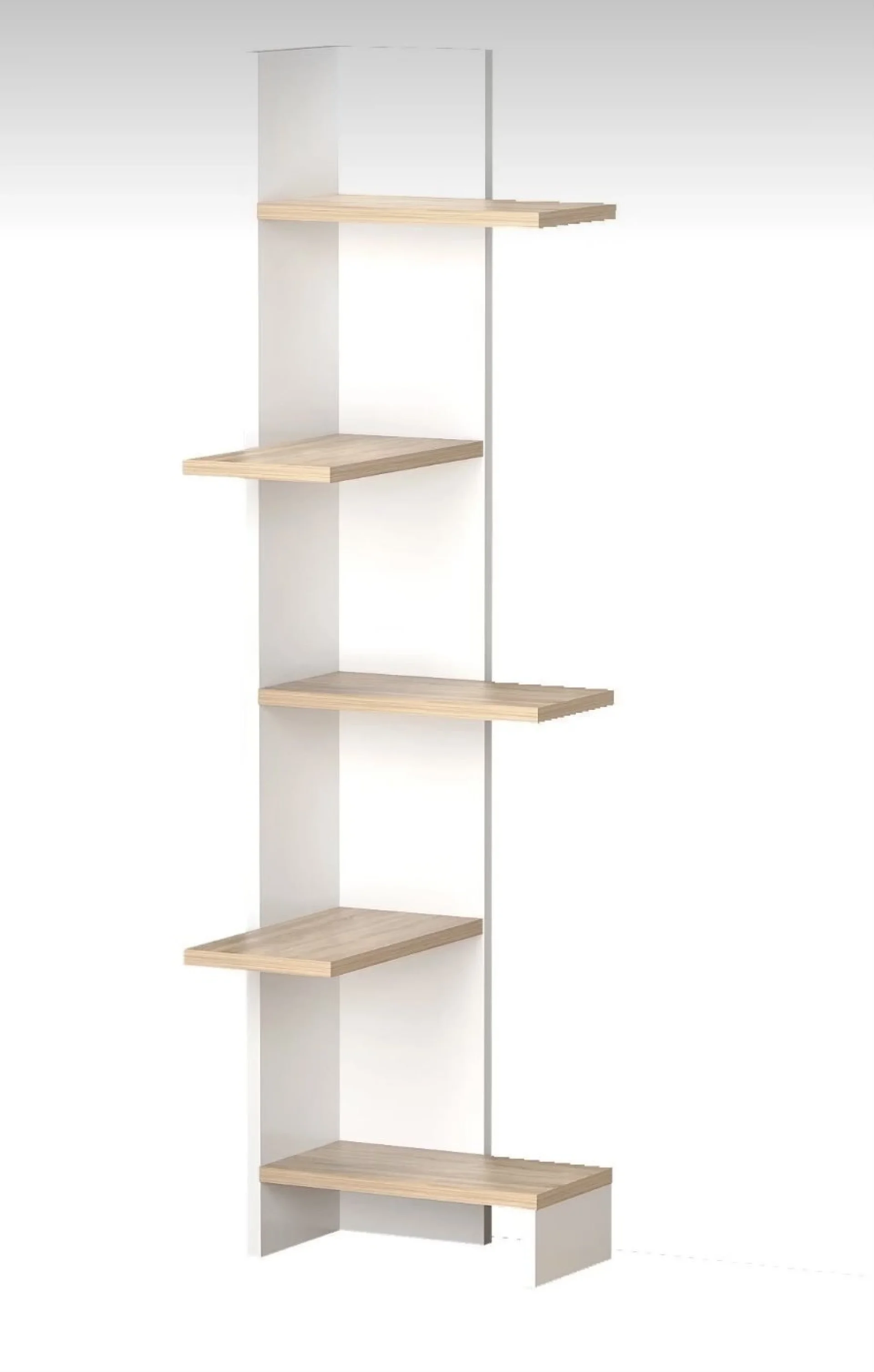 %D0%90%D1%81%D0%B8%D0%BC%D0%B5%D1%82%D1%80%D0%B8%D1%87%D0%BD%D0%B0+%D0%B1%D0%B8%D0%B1%D0%BB%D0%B8%D0%BE%D1%82%D0%B5%D0%BA%D0%B0+155%D1%81%D0%BC.+%22Enisa%22+%D0%B1%D1%8F%D0%BB%2F%D0%B4%D1%8A%D1%80%D0%B2%D0%BE